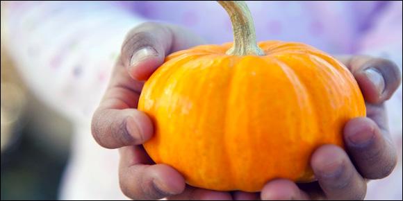 Bring On The Pumpkin!
